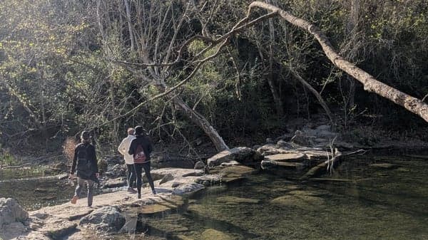 Women’s Hike: Pease Park to Shoal Creek Greenbelt 
