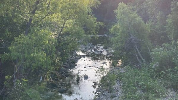 Wednesday Evening Walk along Shoal Creek Trail