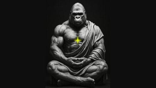 Stoic Sundays – A Men's Event to Master Your Mind & Life