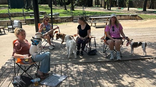 Doggy Skills for Public Places aka “Dining with dogs” 😊