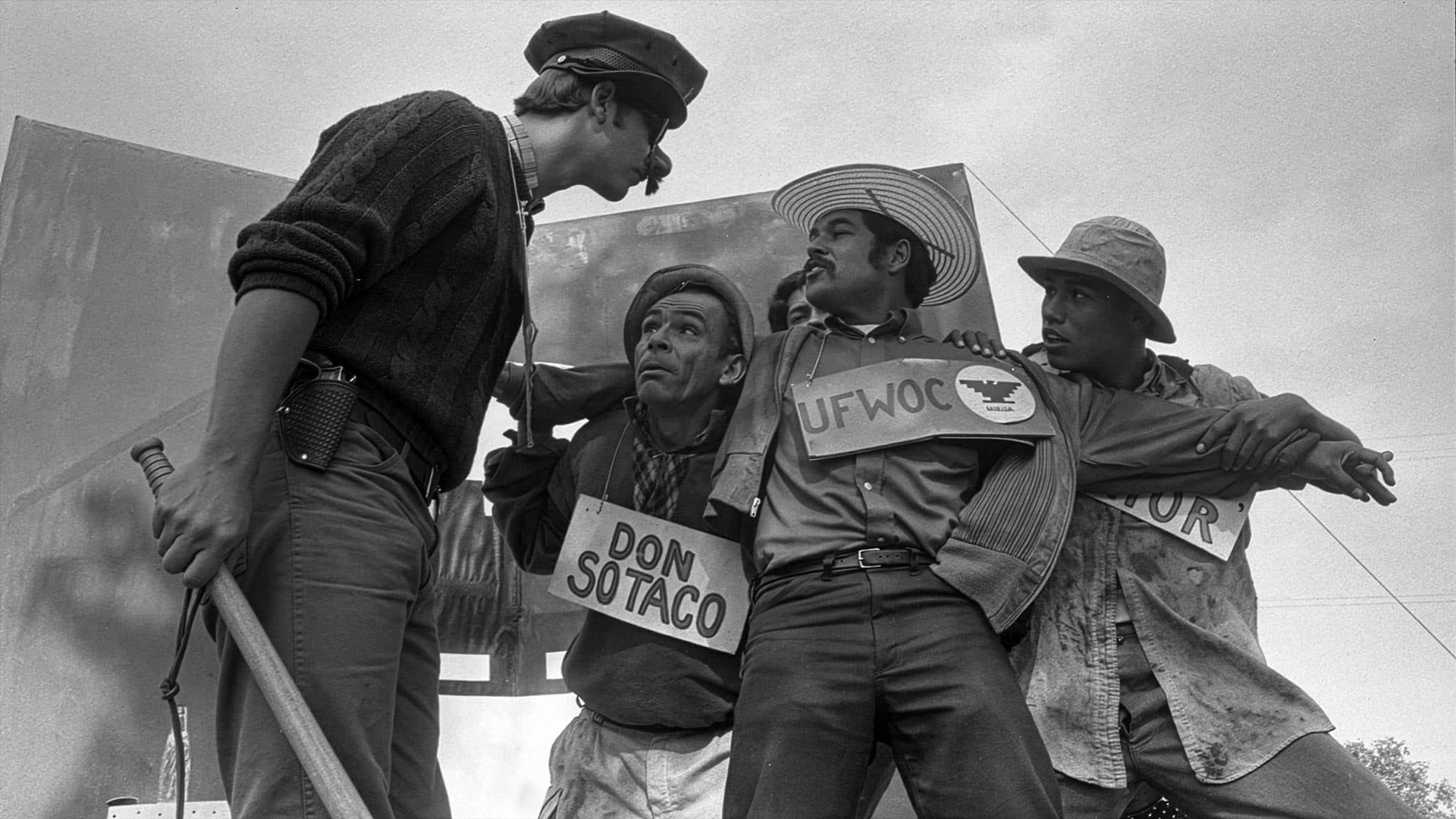 AMERICAN PACHUCO: THE LEGEND OF LUIS VALDEZ
