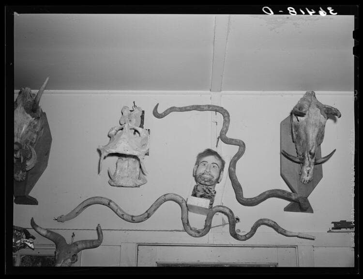 Experimental Seeing: Russell Lee’s Pedagogical Legacy